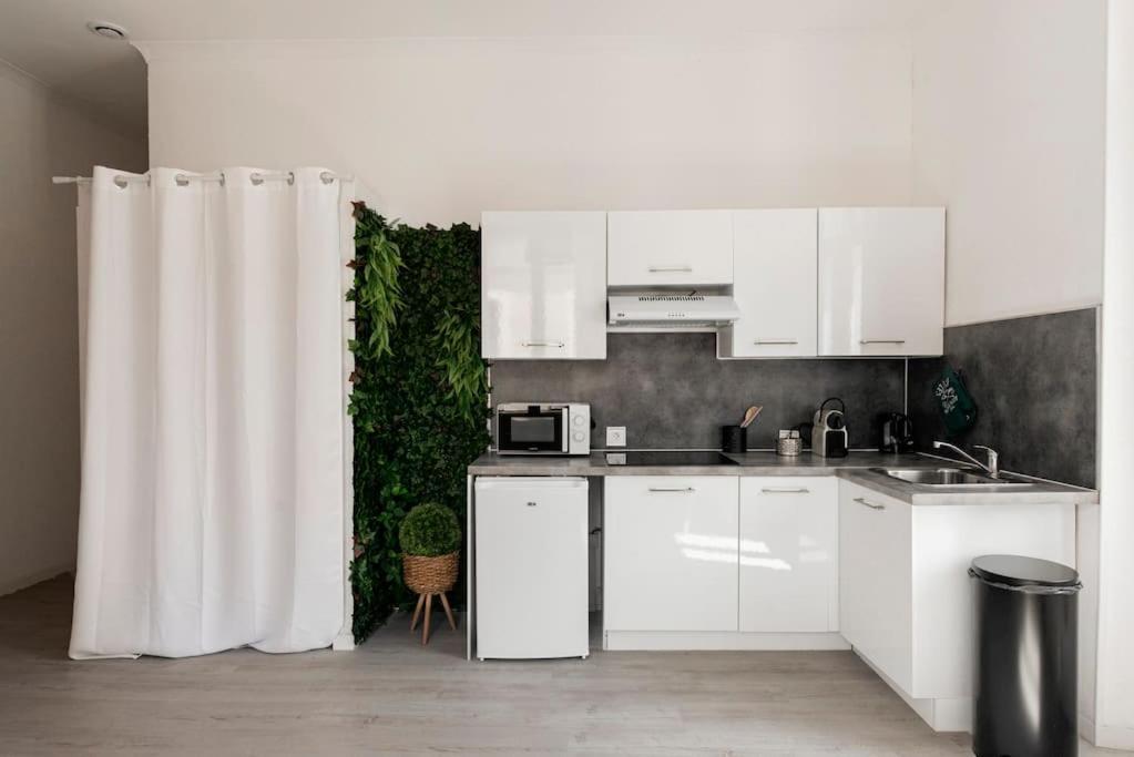 Charmant Studio Arbore Et Climatise Carcassonne Buitenkant foto